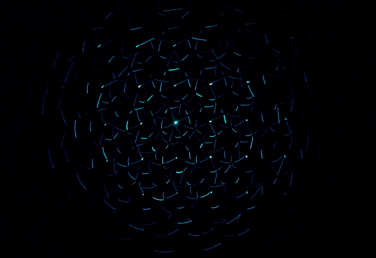 Best AI Search Rank Tracking & Visibility Tools