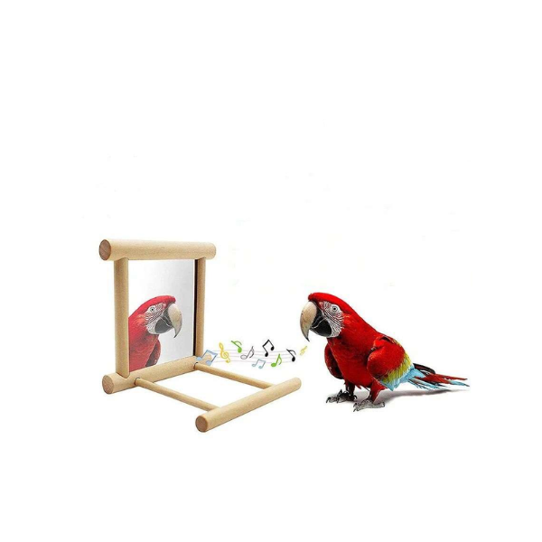 Saas Mirror Bird Toy 10X10X10 Cm