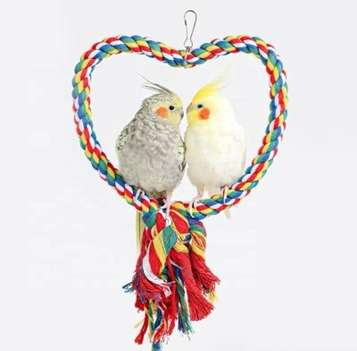 Saas Bird Swing Rings Toys 25*20