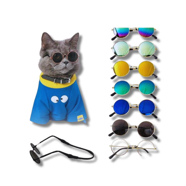 Saas Pet Sun Glass Large