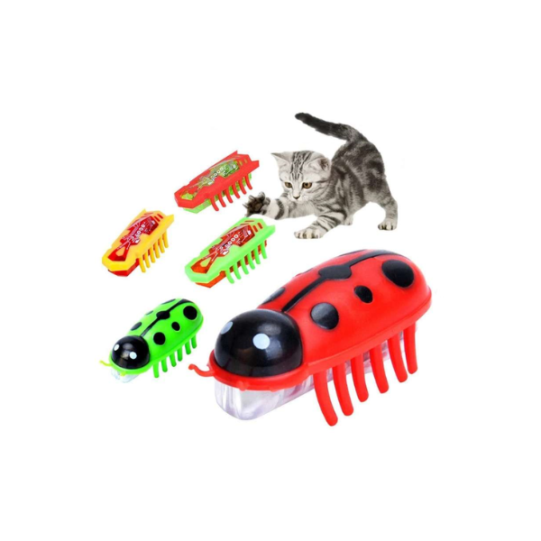 Saas Cat Electric Ladybug Toy