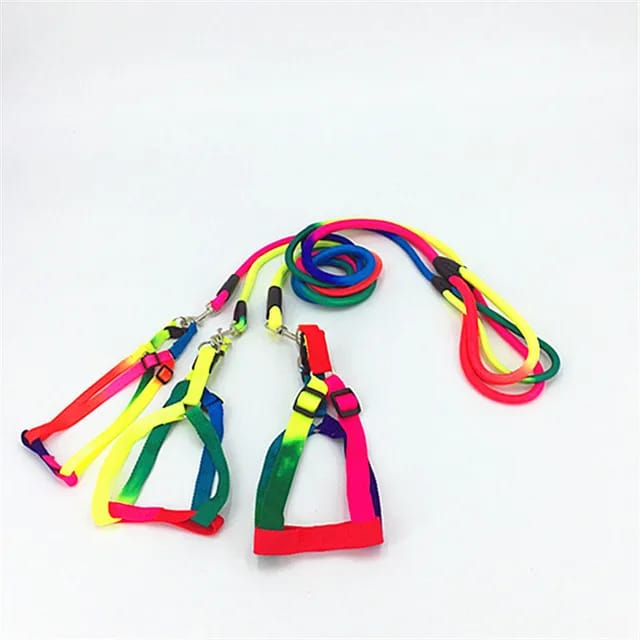 Cat Mix Color Harness Sa06