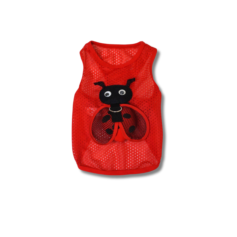 Saas Pet Dress Lady Bug