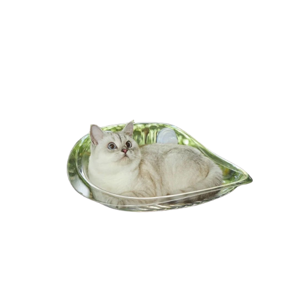 Cat Glass Type Hammock