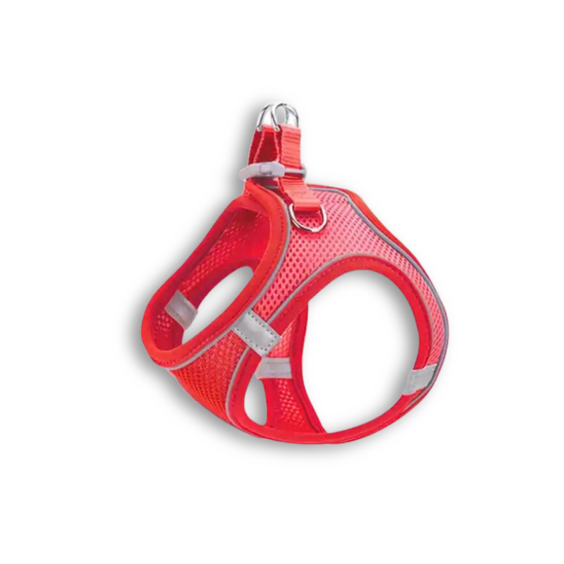 Saas Pet Mesh Harness + Leash Xxs -1279