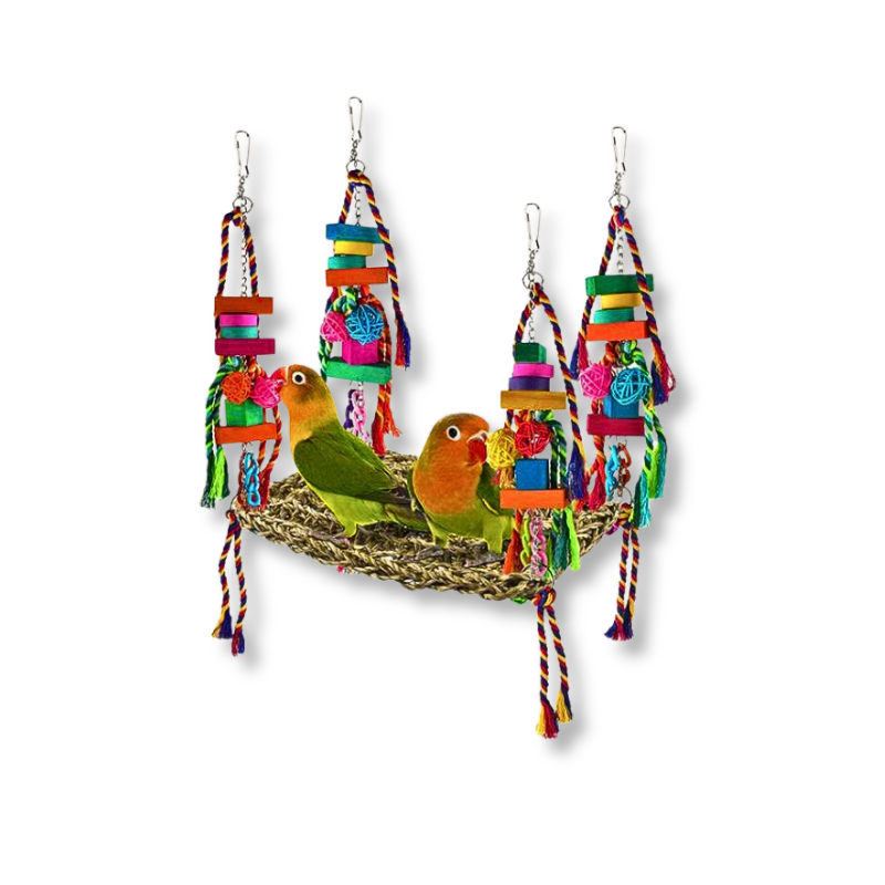 Saas Parrot Wood Hanging Toys 29*20*45