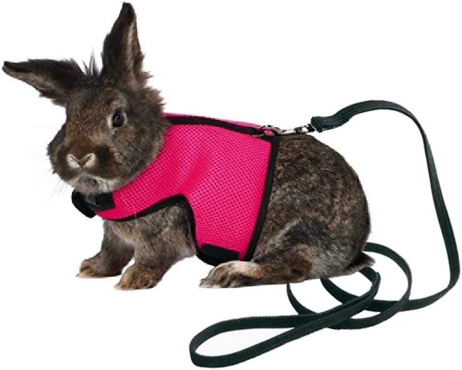 Small Animal Harness Set (Large)