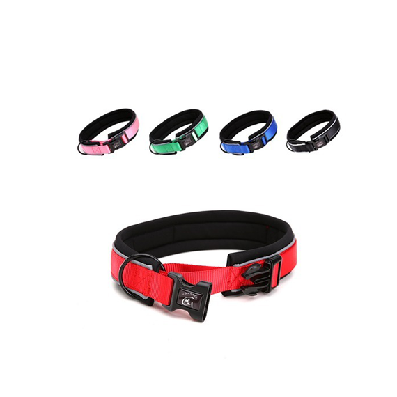 Saas Dog Collar Small 30-40*2.5Cm