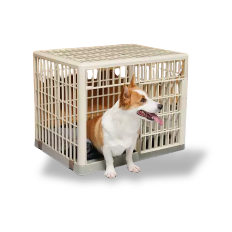 Saas Pp Cage For Dog 81*55.3*63 Cm 1869