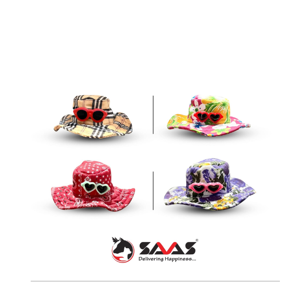 Saas Pet Hat With Glass