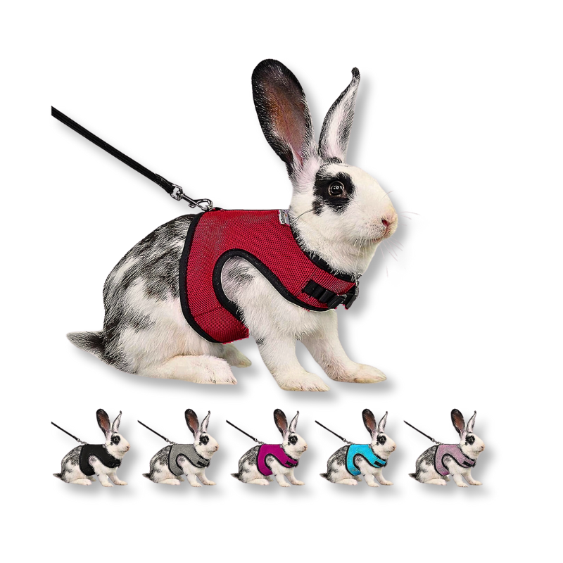 Small Animal Harness Set (Small)