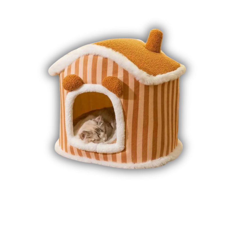 Saas Cat House