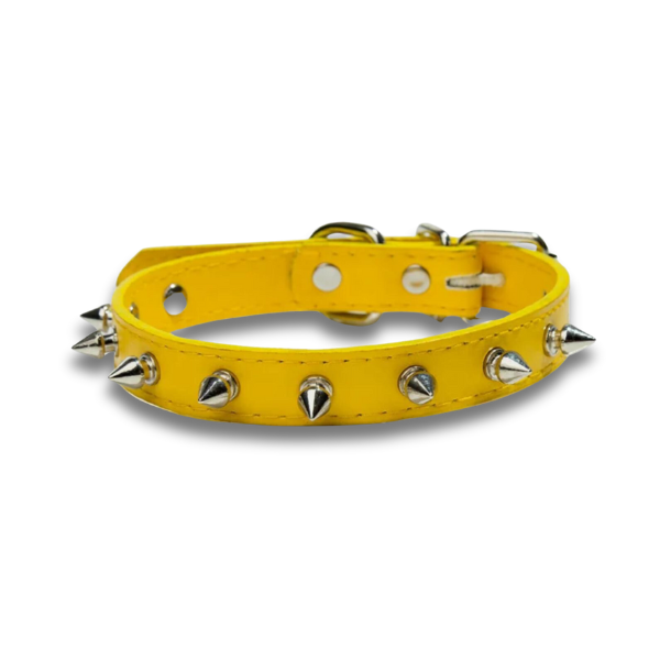 Saas Dog Revert Collar Large 1698L