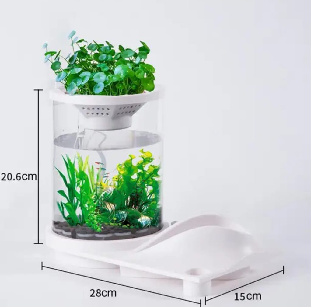 Saas desk micro landscape fish tank 20.6*28*15