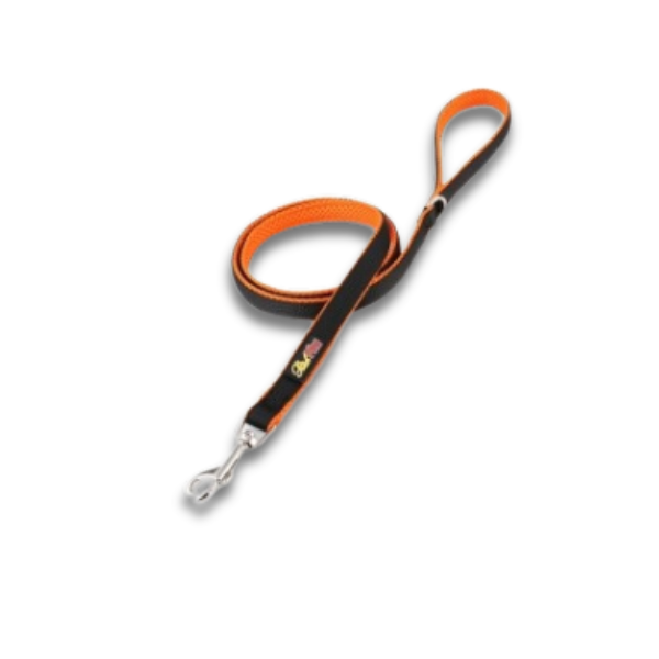 Saas Nylon Leash With Mesh Padded