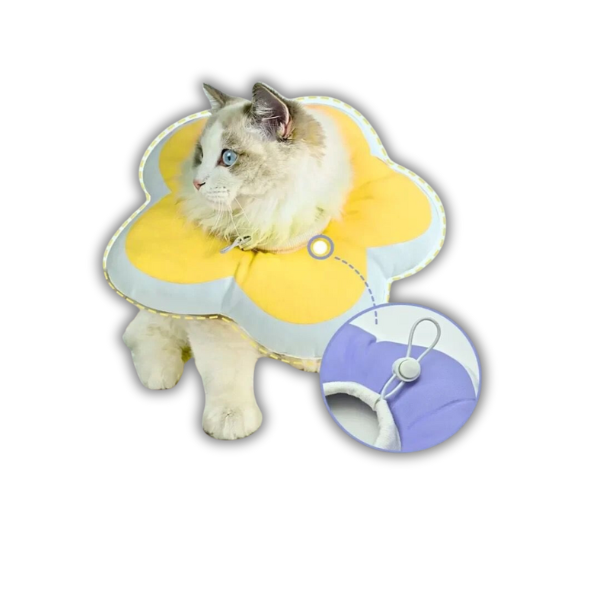 Saas Cat Soft Elizabeth Collars 2981