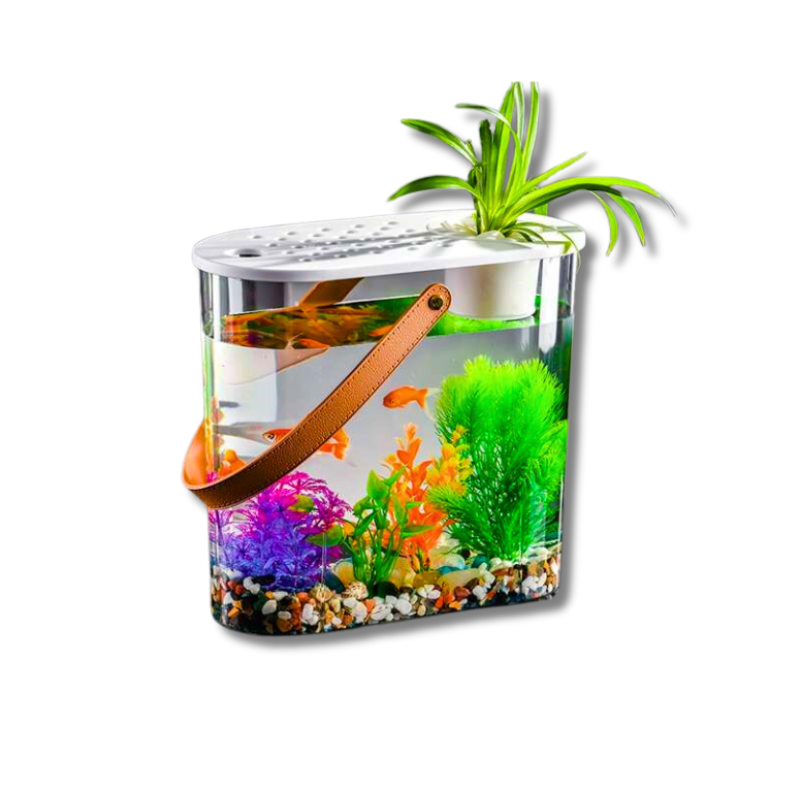 Saas Desk Fish Tank 29.5X28.5 Cm