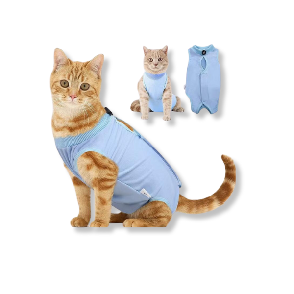 Saas Cat Recovery Suit Small