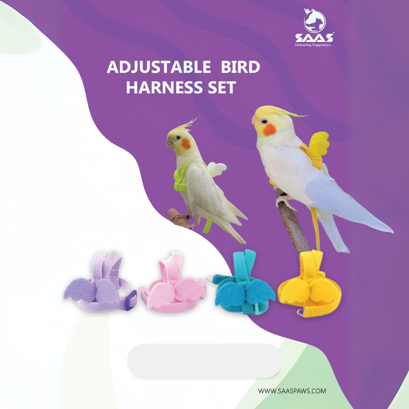 Saas Bird Harness Xl 1131Xl