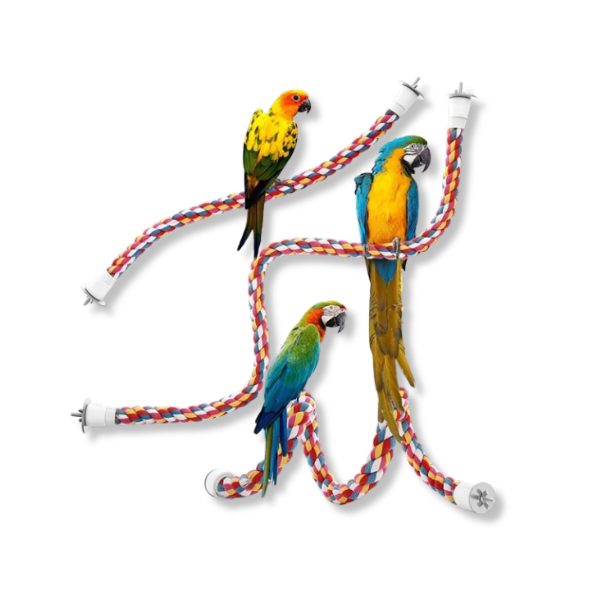 Saas Bird Toys Cotton (2.5*105) 2995