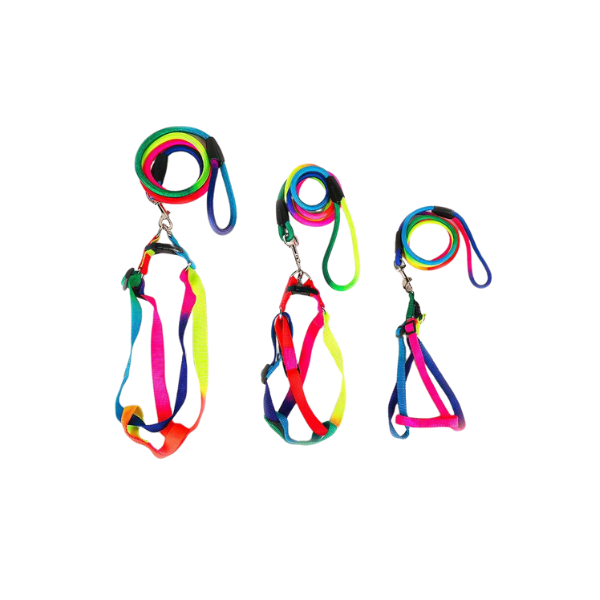 Saas New Rainbow Color Harness 1535