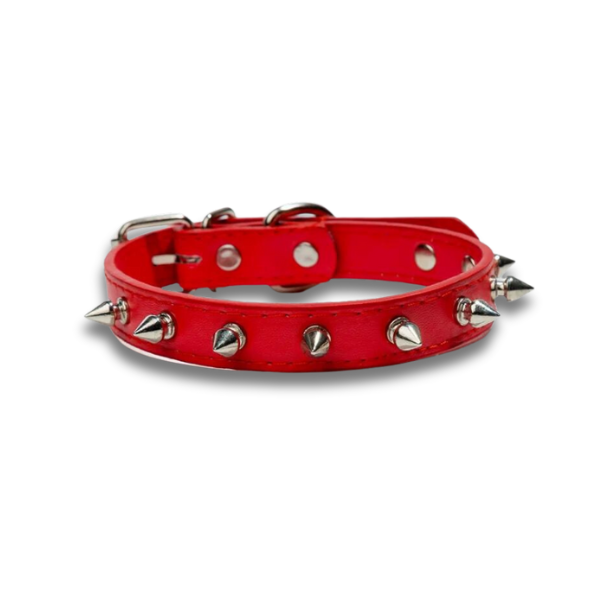 Saas Dog Revert Collar Xl 1698Xl