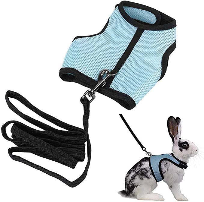 Small Animal Harness Set (Medium)