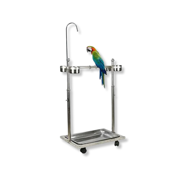 Saas Parrot Stainless Steel Stand 75-110Cm