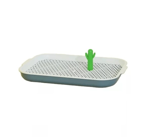 Saas Open Dog Toilet Tray  Large -Blue