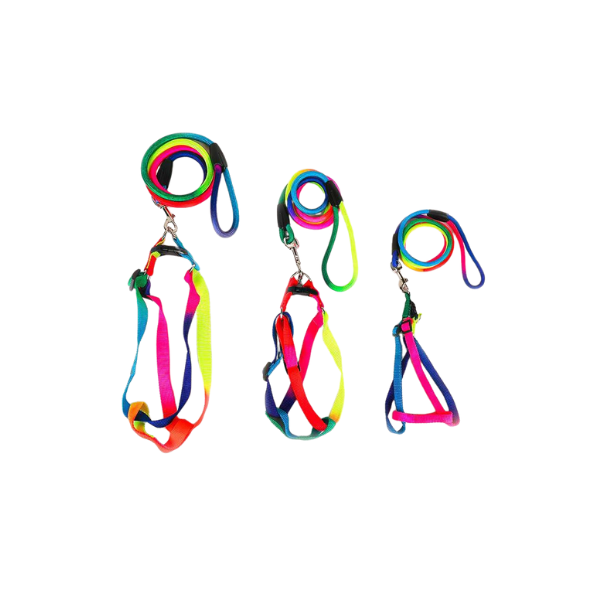 Rainbow Color Harness 6Mm Sa07