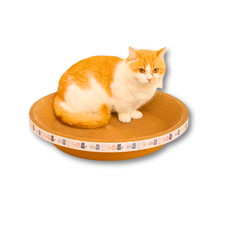 Saas Round Scratcher