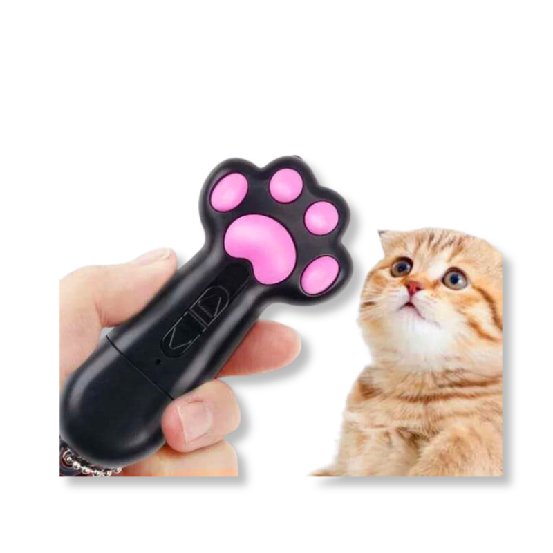 Paw Beam Laser Cat Toy 6 In One