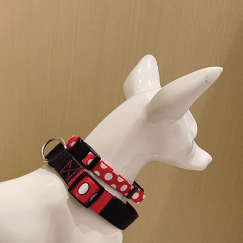 Disney Dog Collar Large 2.5 1748L