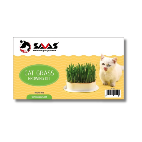 Saas Cat Grass Growing Kit