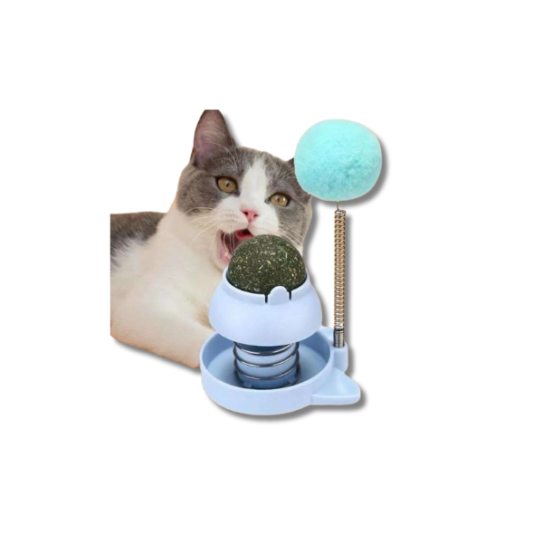 Saas Cat Toy With Catnip